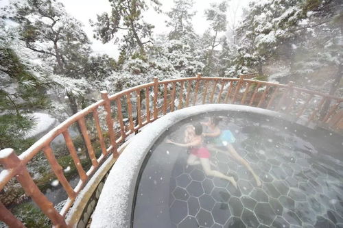 蒙山旅游度假區(qū)圓滿收官，累計(jì)接待游客26.07萬人次，實(shí)現(xiàn)旅游綜合收入1060.29萬元