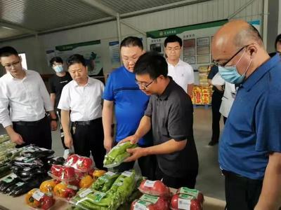 農業農村部赴淄博調研農獸藥殘留超標治理工作推進情況